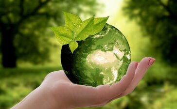 Die zauberhafte Welt der veganen Kosmetik – Teil 3